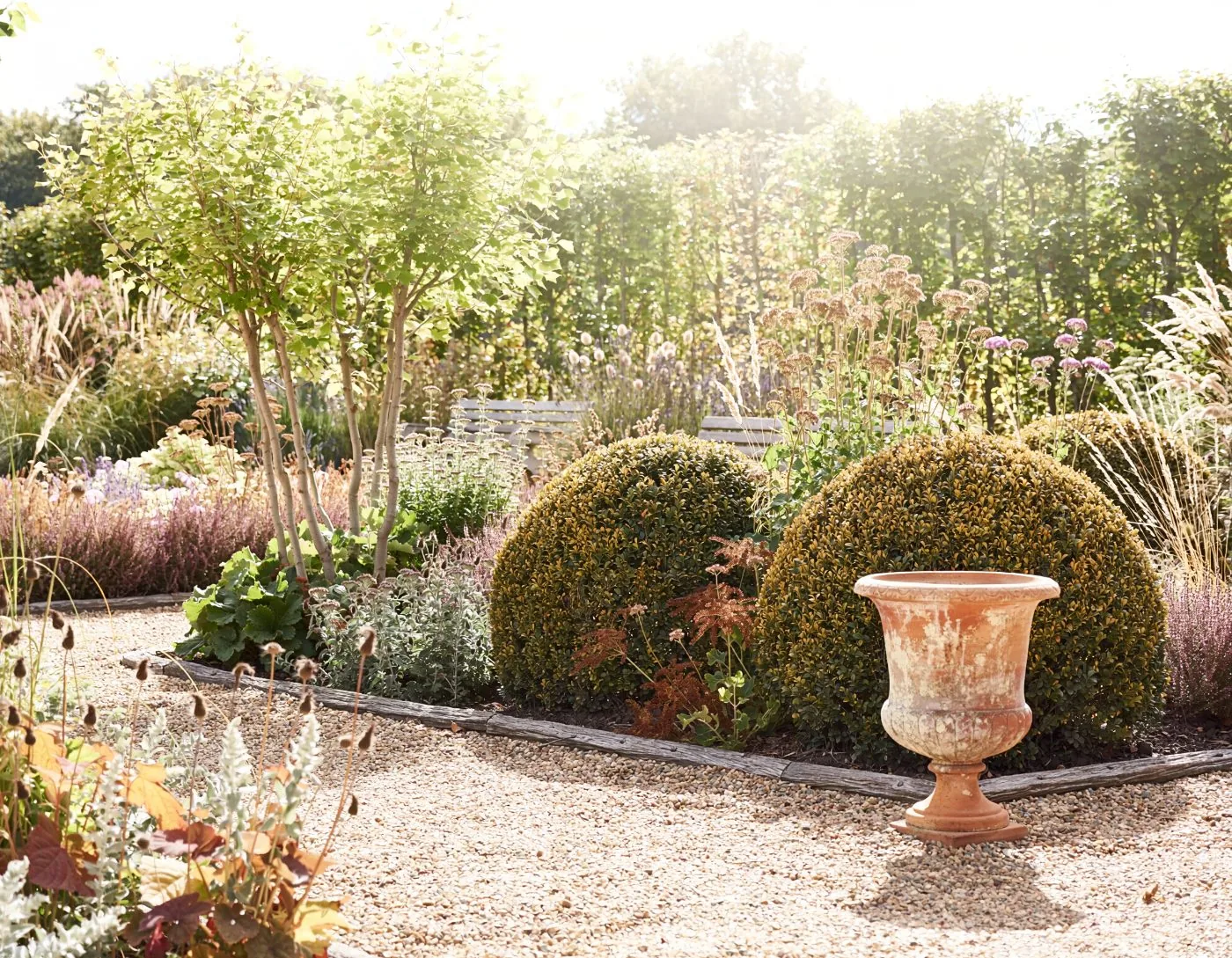 Jardin complet, deux ans après plantation